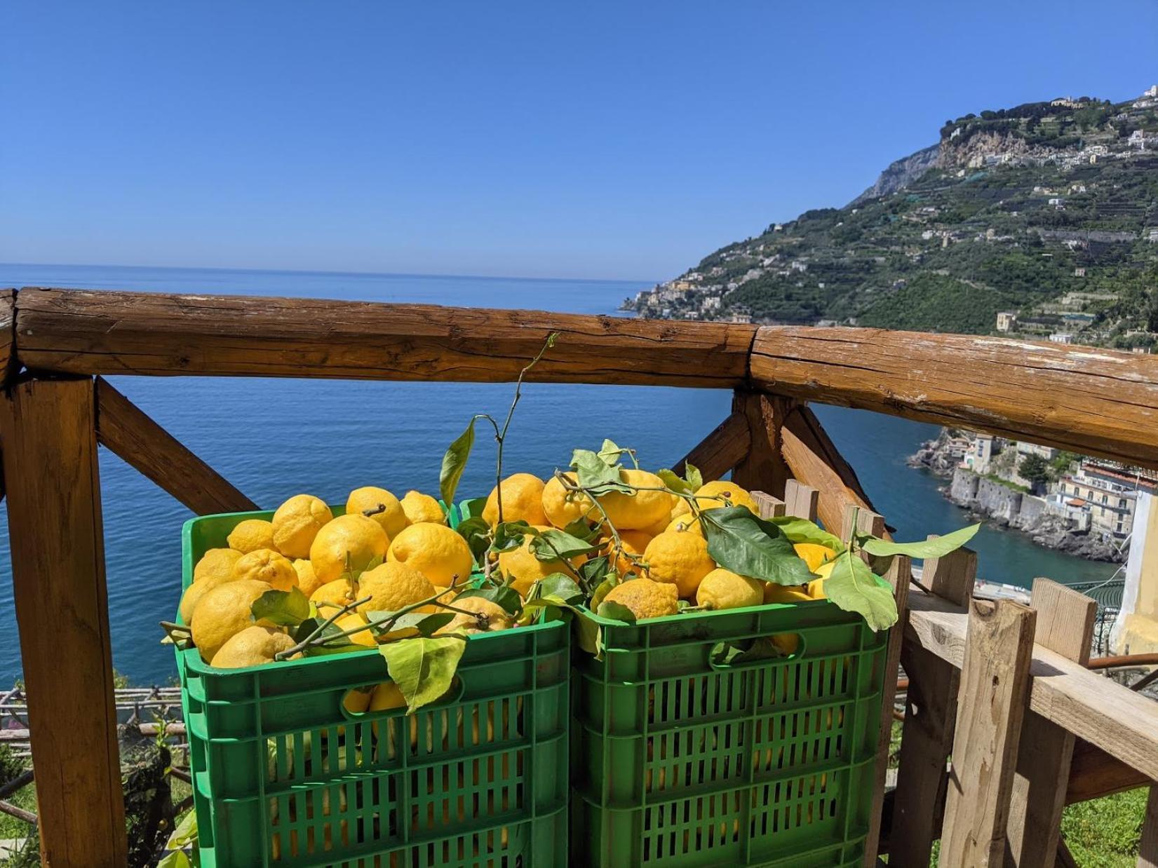 Casa Vacanze Freeholiday House Minori Εξωτερικό φωτογραφία